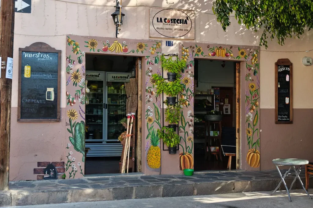Local artisan shop in Guadalupe arts district San Miguel de Allende