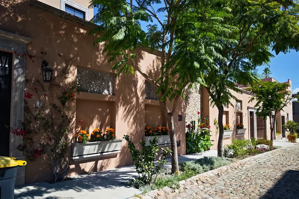 Tree-lined street with gardens in El Paraiso San Miguel de Allende