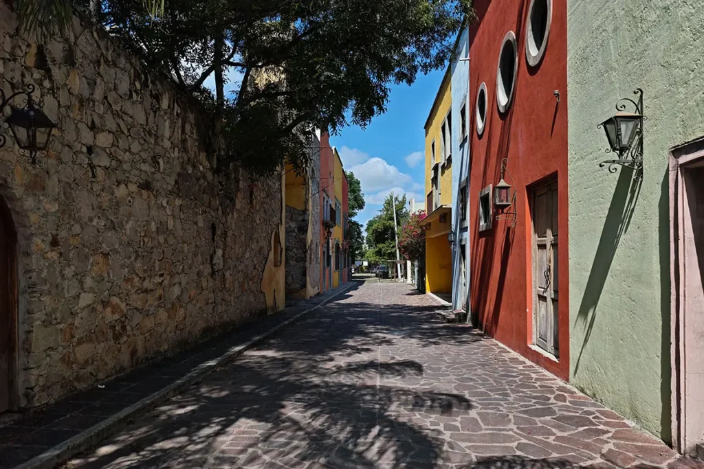 Tree-lined residential street in San Antonio San Miguel de Allende
